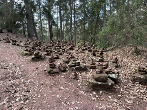 Dahner Felsenpfad (Premiumwanderweg)