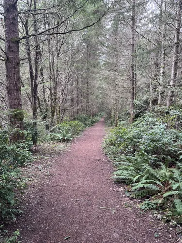 Best Hikes and Trails in North Kitsap Heritage Park | AllTrails