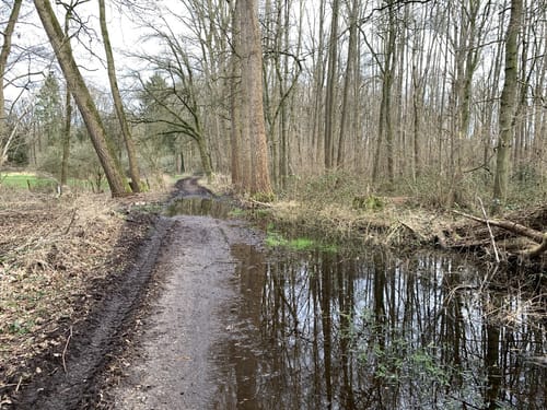Waldmärchenpfad