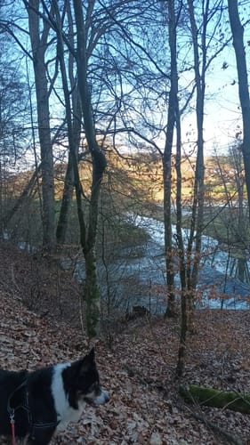 Rhön-Rundweg 4 Michelsrombach