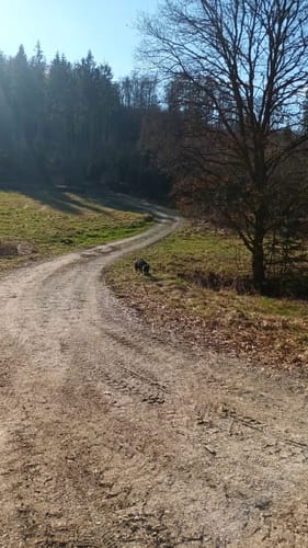 Rhön-Rundweg 4 Michelsrombach