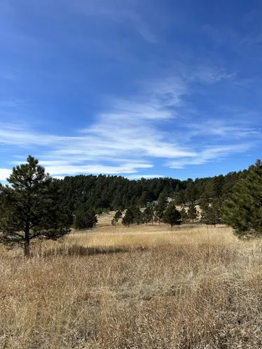 Best Hikes and Trails in Homestead Ranch Park | AllTrails