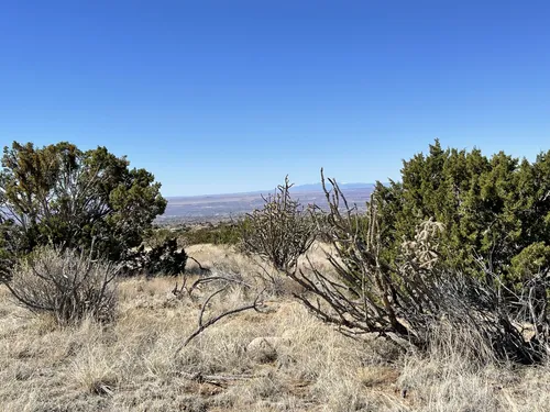 Best Walking Trails in Elena Gallegos Picnic Area/Albert G. Simms Park ...