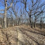 Ida Lake and Arie Crown Yellow Unpaved Loop Trail, Cook County