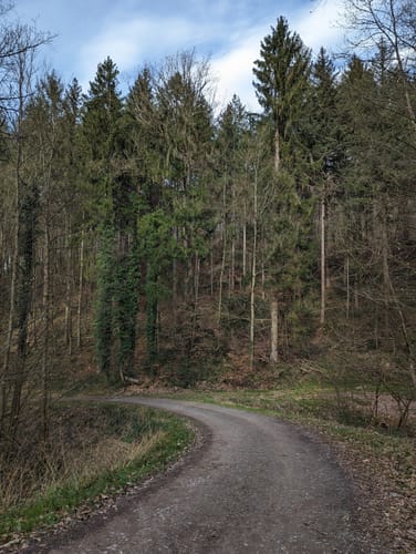 Rund um den Ernet
