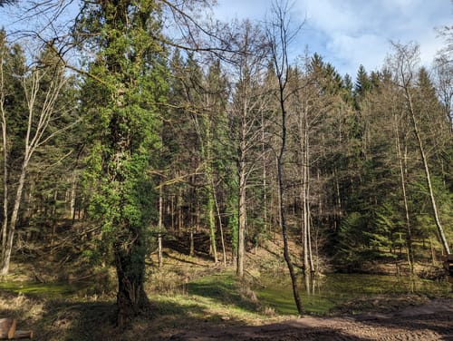 Rund um den Ernet