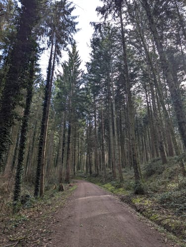 Rund um den Ernet