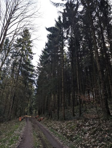 Rund um den Ernet