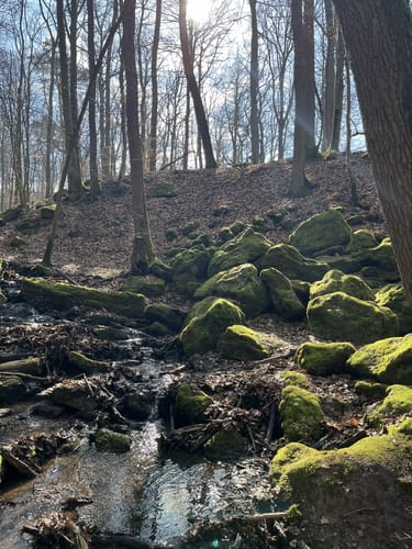 Morgenbachtal Rundweg ab Burg Rheinstein