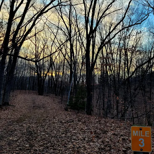 Best Wild Flowers Trails in Kettle Moraine State Forest Northern Unit