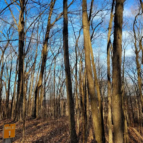 Best Wild Flowers Trails in Kettle Moraine State Forest Northern Unit