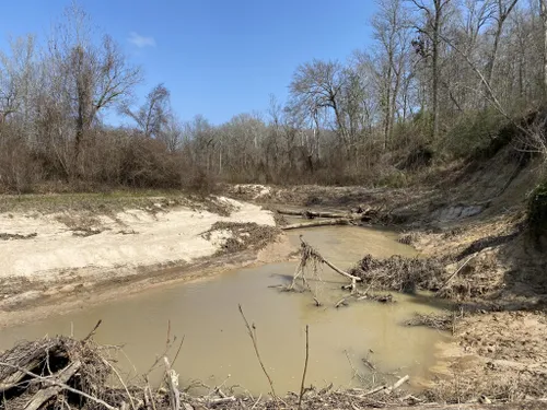 Historic Hiking Trail In Louisiana: Port Hudson Trail