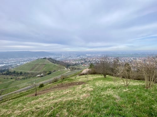 Über die Weinberge zur Grabkapelle auf dem Württemberg