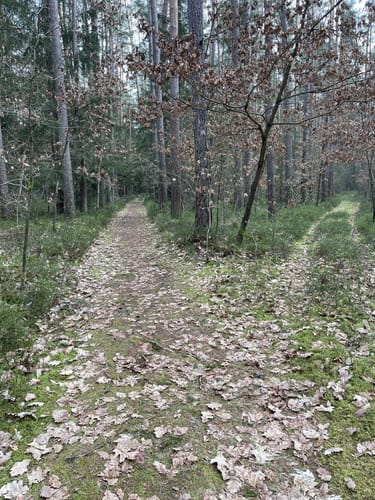Rangau-Randweg Fernwanderweg