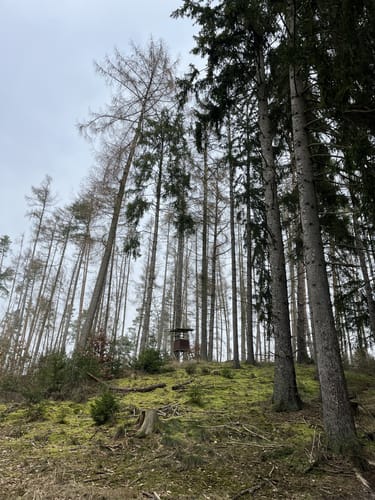 Große Wockertal Runde