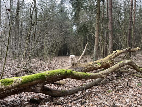Große Wockertal Runde