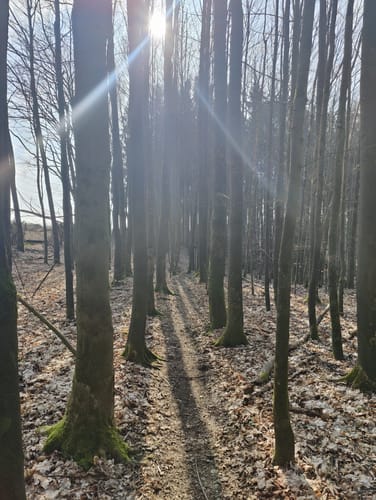 Runde bei Fahrendorf
