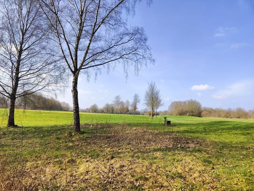Runde bei Fahrendorf