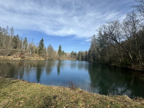 Rund um Zorge und durch das Wolfbachtal