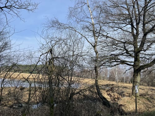 Ohlstedt - Wohldorfer Wald - Duvenstedter Brook