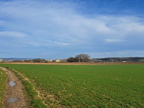Naabtal zwischen Mariaort und Etterzhausen
