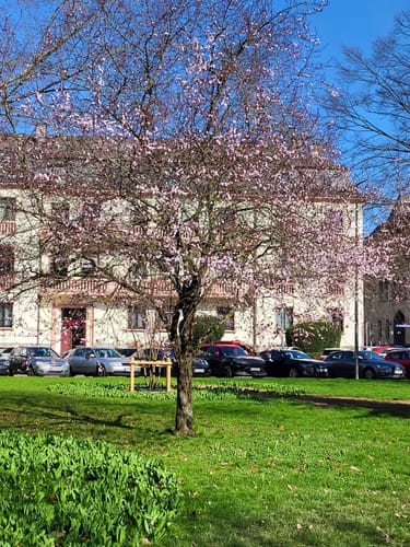 Zum Deutschen Eck und dem Kurfürstlichen Schloss
