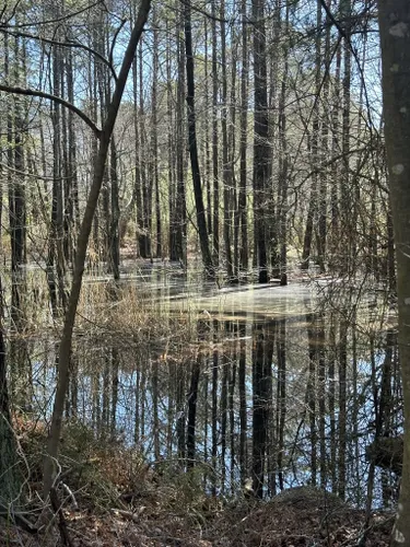 Best Hikes And Trails In Holts Landing State Park 