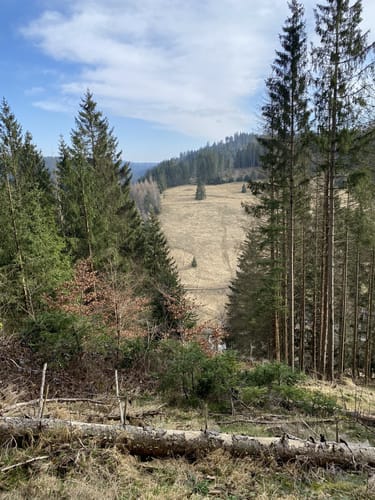 Hüttschenthal - Wildemann