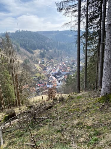Hüttschenthal - Wildemann