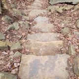 Stone Door Trail, Tennessee - 1,481 Reviews, Map | AllTrails