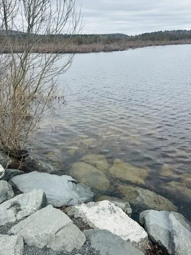 Best Hikes and Trails in Ponkapoag Golf Course AllTrails