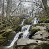 Dark Hollow Falls Trail Virginia - EyJidWNrZXQiOiJhc3NldHMuYWxsdHJhaWxzLmNvbSIsImtleSI6InVwbG9hZHMvcGhvdG8vaW1hZ2UvNzEzMDg0NzEvODhlNDlmZTlkN2UyYzZlYTUyMzcwNTFiZDQ1NWJmZDAuanBnIiwiZWRpdHMiOnsidG9Gb3JtYXQiOiJqcGVnIiwicmVzaXplIjp7IndpZHRoIjoxNjAsImhlaWdodCI6MTYwLCJmaXQiOiJjb3ZlciJ9LCJyb3RhdGUiOm51bGwsImpwZWciOnsidHJlbGxpc1F1YW50aXNhdGlvbiI6dHJ1ZSwib3ZlcnNob290RGVyaW5naW5nIjp0cnVlLCJvcHRpbWlzZVNjYW5zIjp0cnVlLCJxdWFudGlzYXRpb25UYWJsZSI6M319fQ==
