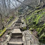 Dark Hollow Falls Trail Virginia - EyJidWNrZXQiOiJhc3NldHMuYWxsdHJhaWxzLmNvbSIsImtleSI6InVwbG9hZHMvcGhvdG8vaW1hZ2UvNzEzMDg0NzQvN2JkMTdmNmVkZjlhMzNjNzdkZGViNzFhYTk4Mjc3NzMuanBnIiwiZWRpdHMiOnsidG9Gb3JtYXQiOiJqcGVnIiwicmVzaXplIjp7IndpZHRoIjoxNjAsImhlaWdodCI6MTYwLCJmaXQiOiJjb3ZlciJ9LCJyb3RhdGUiOm51bGwsImpwZWciOnsidHJlbGxpc1F1YW50aXNhdGlvbiI6dHJ1ZSwib3ZlcnNob290RGVyaW5naW5nIjp0cnVlLCJvcHRpbWlzZVNjYW5zIjp0cnVlLCJxdWFudGlzYXRpb25UYWJsZSI6M319fQ==