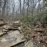 Dark Hollow Falls Trail Virginia - EyJidWNrZXQiOiJhc3NldHMuYWxsdHJhaWxzLmNvbSIsImtleSI6InVwbG9hZHMvcGhvdG8vaW1hZ2UvNzEzMDg0NzYvYWEwZWExZDczOTVlMWU4NGU2ZTQzN2UwY2MxOTE4MmQuanBnIiwiZWRpdHMiOnsidG9Gb3JtYXQiOiJqcGVnIiwicmVzaXplIjp7IndpZHRoIjoxNjAsImhlaWdodCI6MTYwLCJmaXQiOiJjb3ZlciJ9LCJyb3RhdGUiOm51bGwsImpwZWciOnsidHJlbGxpc1F1YW50aXNhdGlvbiI6dHJ1ZSwib3ZlcnNob290RGVyaW5naW5nIjp0cnVlLCJvcHRpbWlzZVNjYW5zIjp0cnVlLCJxdWFudGlzYXRpb25UYWJsZSI6M319fQ==
