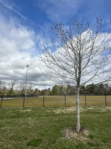 Best Hikes and Trails in Fairview Park | AllTrails