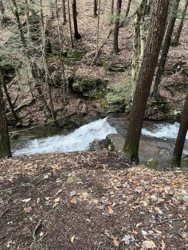 Best Hikes and Trails in Honesdale | AllTrails