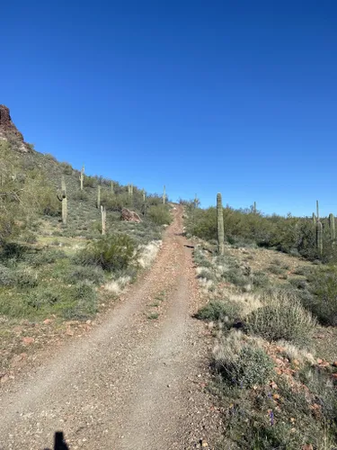 Best Off Road Driving Trails In Buckeye Alltrails