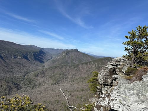 Linville gorge wilderness trail map best sale