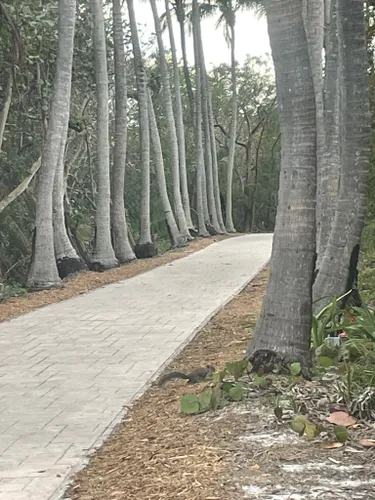 Best Hikes and Trails in Key Biscayne