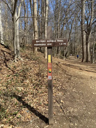 Suburban Serenity: 5 Scenic Hiking Trails in Bethesda-Chevy Chase – Maryland