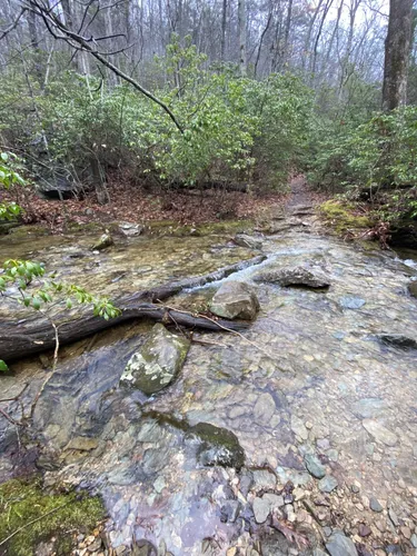 Best Bike Touring Trails in George - EyJidWNrZXQiOiJhc3NldHMuYWxsdHJhaWxzLmNvbSIsImtleSI6InVwbG9hZHMvcGhvdG8vaW1hZ2UvNzEzMzMwMDYvYzNhMGQ3ZGY5YmM4MzE2ZGZiMWQzYmI4ZDYxYjg4YTYuanBnIiwiZWRpdHMiOnsidG9Gb3JtYXQiOiJ3ZWJwIiwicmVzaXplIjp7IndpZHRoIjo1MDAsImhlaWdodCI6NTAwLCJmaXQiOiJpbnNpZGUifSwicm90YXRlIjpudWxsLCJqcGVnIjp7InRyZWxsaXNRdWFudGlzYXRpb24iOnRydWUsIm92ZXJzaG9vdERlcmluZ2luZyI6dHJ1ZSwib3B0aW1pc2VTY2FucyI6dHJ1ZSwicXVhbnRpc2F0aW9uVGFibGUiOjN9fX0=