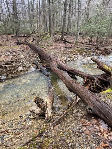 Best Bike Touring Trails in George - EyJidWNrZXQiOiJhc3NldHMuYWxsdHJhaWxzLmNvbSIsImtleSI6InVwbG9hZHMvcGhvdG8vaW1hZ2UvNzEzMzMwMDcvY2I2NmNkNDZmOWJlMzQ0MzdjODliMWU2OTdiODVhN2QuanBnIiwiZWRpdHMiOnsidG9Gb3JtYXQiOiJ3ZWJwIiwicmVzaXplIjp7IndpZHRoIjo1MDAsImhlaWdodCI6NTAwLCJmaXQiOiJpbnNpZGUifSwicm90YXRlIjpudWxsLCJqcGVnIjp7InRyZWxsaXNRdWFudGlzYXRpb24iOnRydWUsIm92ZXJzaG9vdERlcmluZ2luZyI6dHJ1ZSwib3B0aW1pc2VTY2FucyI6dHJ1ZSwicXVhbnRpc2F0aW9uVGFibGUiOjN9fX0=