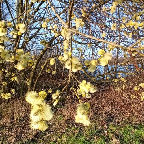 Naturlehrpfad Zoberberg-Quellgebiet