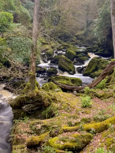 Best Trails, Walks, and Paths in Derry | AllTrails