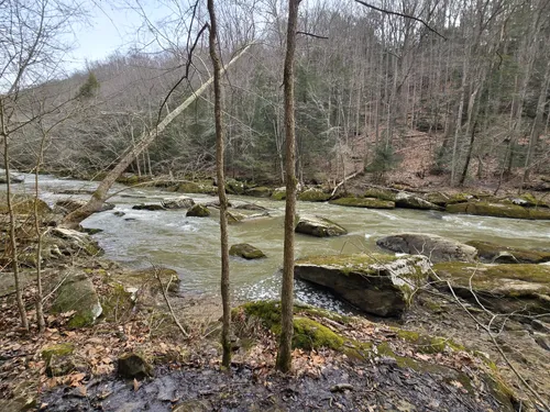 Best Hikes and Trails in McConnells Mill State Park AllTrails
