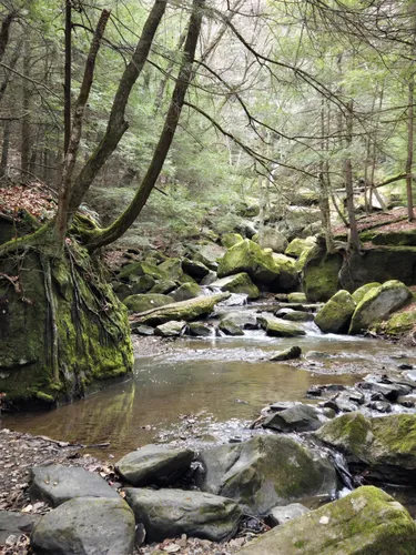 Mcconnells mill on sale state park hiking
