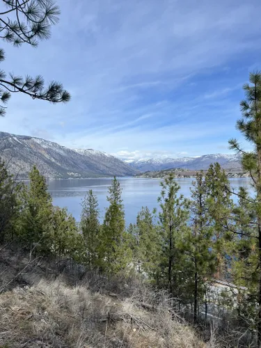 Hiking and Trails in Lake Chelan Over 250 Miles of Summer Trails