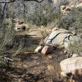 First Creek Canyon Trail to The Grotto, Nevada - 3,516 Reviews, Map ...