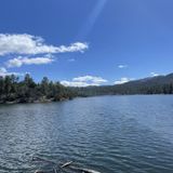 Lynx Lake Loop Trail, Arizona - 2,230 Reviews, Map | AllTrails