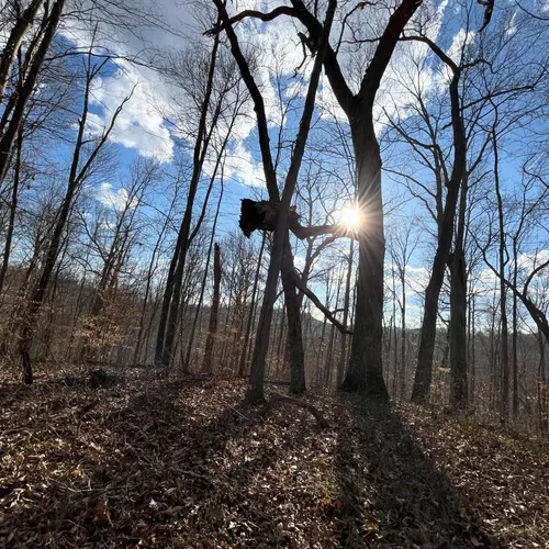 Best Historic Site Trails in Alum Creek AllTrails